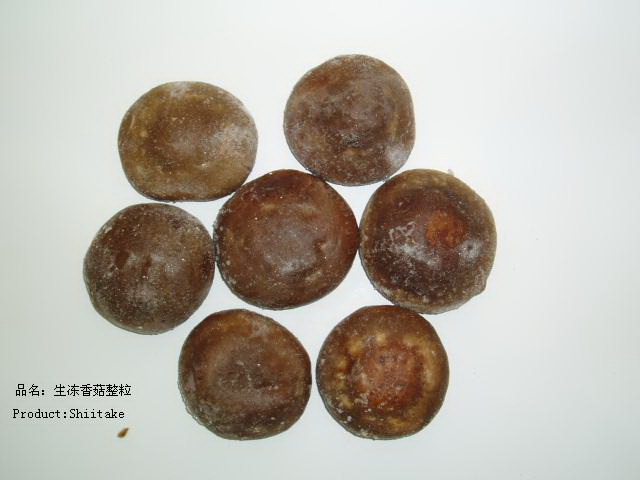 Shiitake