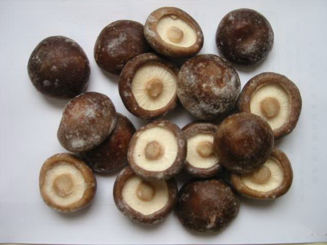 IQF Shiitake