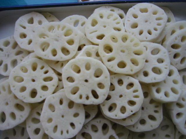 Lotus Root