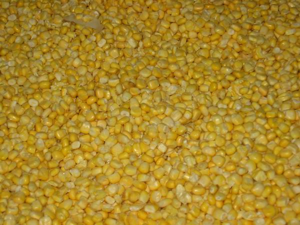 IQF Sweet Corn Kernels